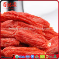 Rohes organisches goji Beere Como usar goji Beere chinesische Medizin goji Beere Cuttings Schwefel frei